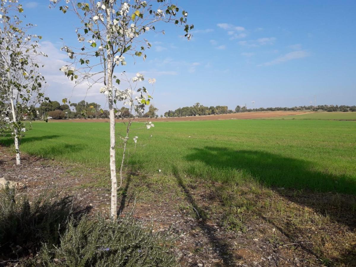 Kibbutz Hatzor A Room Close To Ashdod Hatzor Ashdod Extérieur photo